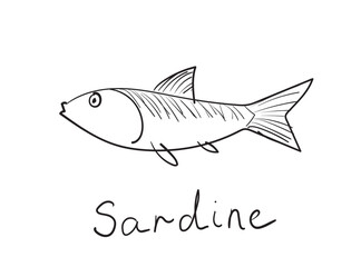 Hand drawn pilchard, doodle sardine fishes, sketched fish pictogram, sardines icon, sketchy sea animals
