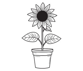 Sunflower flower outline illustration coloring book page design. Sunflower in a pot, Black and white flower