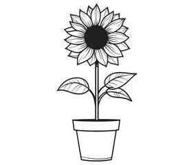 Sunflower flower outline illustration coloring book page design. Sunflower in a pot, Black and white flower