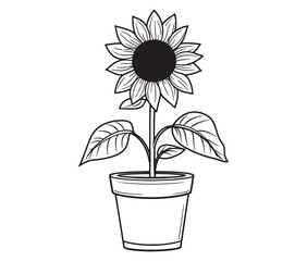 Sunflower flower outline illustration coloring book page design. Sunflower in a pot, Black and white flower