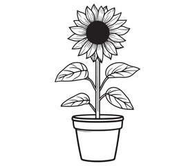 Sunflower flower outline illustration coloring book page design. Sunflower in a pot, Black and white flower