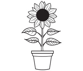 Sunflower flower outline illustration coloring book page design. Sunflower in a pot, Black and white flower