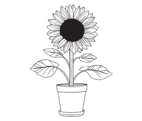 Sunflower flower outline illustration coloring book page design. Sunflower in a pot, Black and white flower