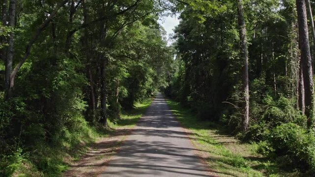 Aerial view of a tranquil road winding through a lush forest with verdant trees, Thomasville, United States.