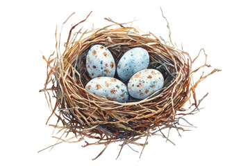 Obraz premium Close-up of a bird's nest with four speckled eggs on a transparent background. showcasing nature and wildlife in a serene setting.