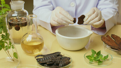 Herbal ingredients are placed on the table for the shampoo experiment while a scientist is conducting a shampoo experiment by breaking a brown dry herb into a white mortar.