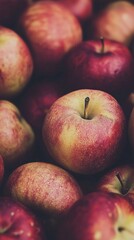 Fresh apple harvest in a vibrant orchard during autumn season, showcasing ripe fruits