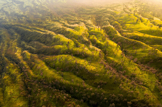 Aerial view of serene and lush valley surrounded by rolling hills and mountains at sunrise, Wongsorejo, Banyuwangi, East Java, Indonesia.