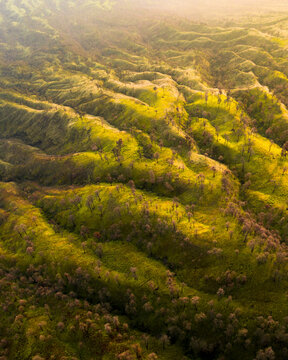 Aerial view of lush green mountains and serene valleys under a beautiful sunrise, Wongsorejo, Banyuwangi, East Java, Indonesia.
