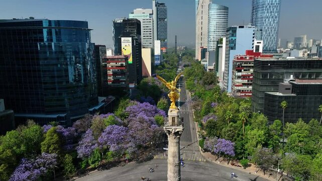 Aerial view of bustling cityscape featuring the Angel of Independence and jacaranda trees, Cuauhtemoc, Mexico.