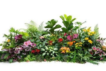 Naklejka premium Close-up shot of various plants arranged on a white surface