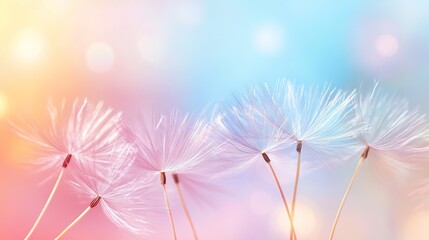 Naklejka premium Delicate Dandelion Seeds Against Soft Pastel Background