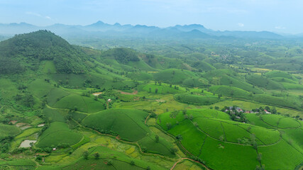 Aerial view of Long Coc tea hills, Phu Tho province, Vietnam. Beautiful green tea plantation in Vietnam. Nature background.