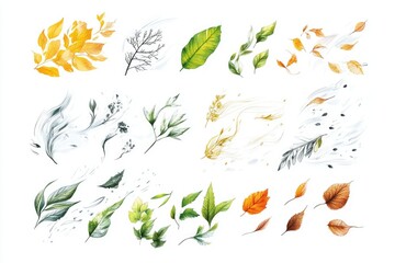 Obraz premium A collection of leaves in various colors arranged on a white surface