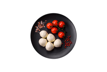 Delicious fresh mozzarella cheese with tomatoes, salt and spices