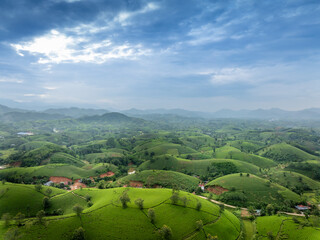 Fototapeta premium Aerial view of Long Coc tea hills, Phu Tho province, Vietnam. Beautiful green tea plantation in Vietnam. Nature background.