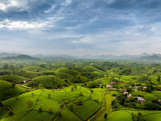 Obraz premium Aerial view of Long Coc tea hills, Phu Tho province, Vietnam. Beautiful green tea plantation in Vietnam. Nature background.