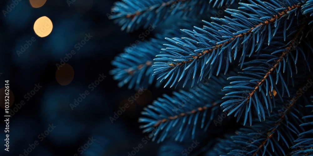 Poster blue pine tree branch with bokeh background