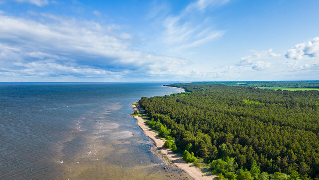 Aerial view of beautiful coast and beach surrounded by lush forest and tranquil sea, Paernu, Estonia.