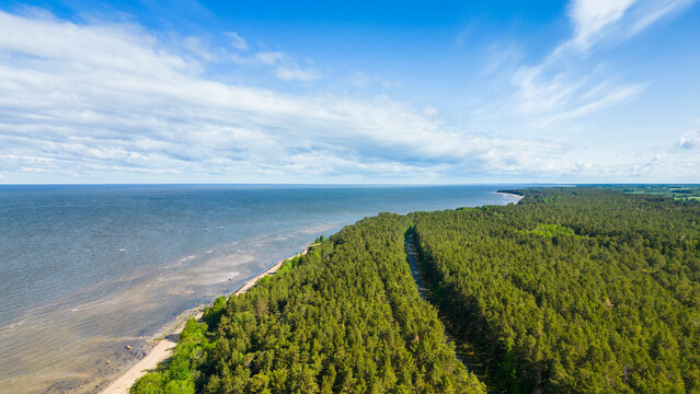 Aerial view of serene coastal beach surrounded by lush forest and tranquil sea, Paernu, Estonia.