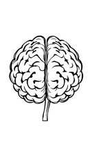 Fototapeta premium Creative left and right brain sketch isolated with white highlights, png
