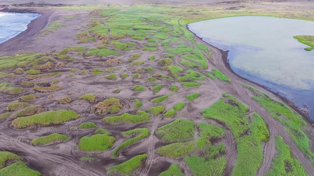 Aerial view of a tranquil beach with serene water and lush greenery, Sandvik, Iceland.