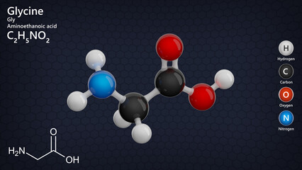 Glycine or aminoacetic acid, is the simplest amino acid. It is essential for collagen formation and has antioxidant properties. Molecular formula: C2H5NO2. Ball and Stick. Dark back. 3d illustration