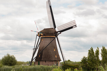 Windmill in the Netherlands. Bushes and  grass in the foreground. Kinderdijk in the Netherlands, cloudy day, summer.