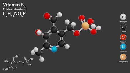 Pyridoxal phosphate. A detailed model of molecule. Molecular formula: C8H10NO6P. Chemical model: Ball and Stick. The active form of vitamin B6. Gray background. 3d illustration