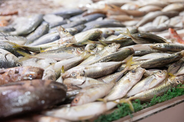 Catch of the day, fish offered at the weekly market. Fresh raw fish, chilled. Haagse Market in The Hague, Netherlands.