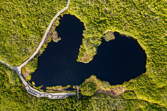 Aerial view of beautiful Lovrenska jezera lake with serene reflections and lush greenery, Rogla, Slovenia.