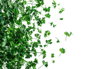 High-Quality Image of Fresh Parsley Falling Isolated on a White Background Ideal for Culinary and Health-Related Graphics