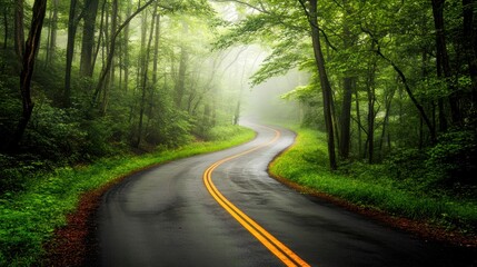 Fototapeta premium Winding road through a lush green forest, surrounded by mist and tranquility, inviting exploration and adventure.