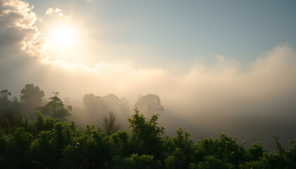 mindful nature isolated with white highlights, png