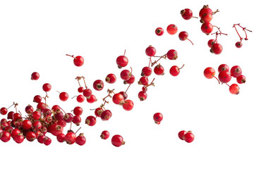 Isolated Falling Wild Berries on White Background for Culinary and Artistic Use in Food Photography