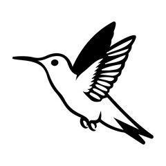 Obraz premium Elegant Hummingbird in Flight