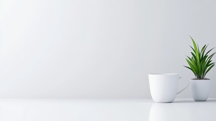 A plain white background with soft, natural light for a smooth and professional feel.