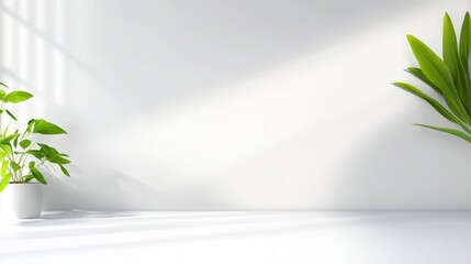 A plain, bright white background with subtle, natural lighting for a fresh, uncluttered design.