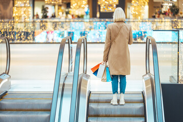Woman Shopping During Holiday Season in a Modern Mall © Dragana Gordic