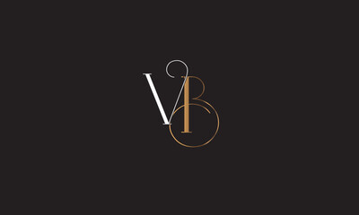 VB, BV , B , V, Abstract Letters Logo Monogram	