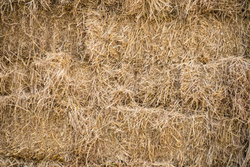 Harvest Time Abundance - A Pile of Hay Bales Ready for Use