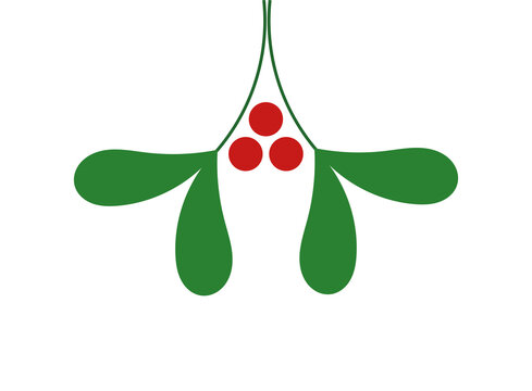 green mistletoe with red berries on white clip art preview