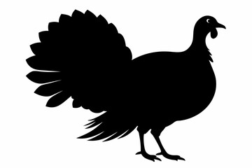 Silhouette turkey on white background.