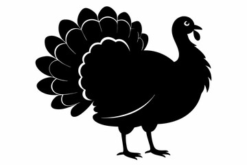 Silhouette turkey on white background.