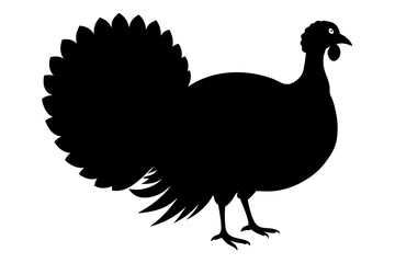 Silhouette turkey on white background.