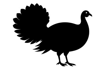 Silhouette turkey on white background.