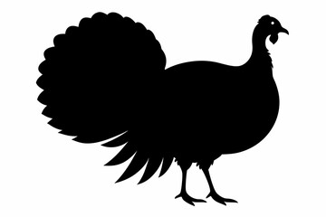 Silhouette turkey on white background.