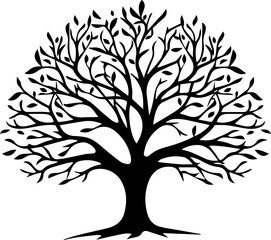 Obraz premium silhouette of tree