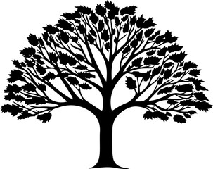 Obraz premium silhouette of tree