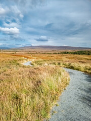 Fototapeta premium Path in Glenveagh National Park, Republic Donegal, Ireland